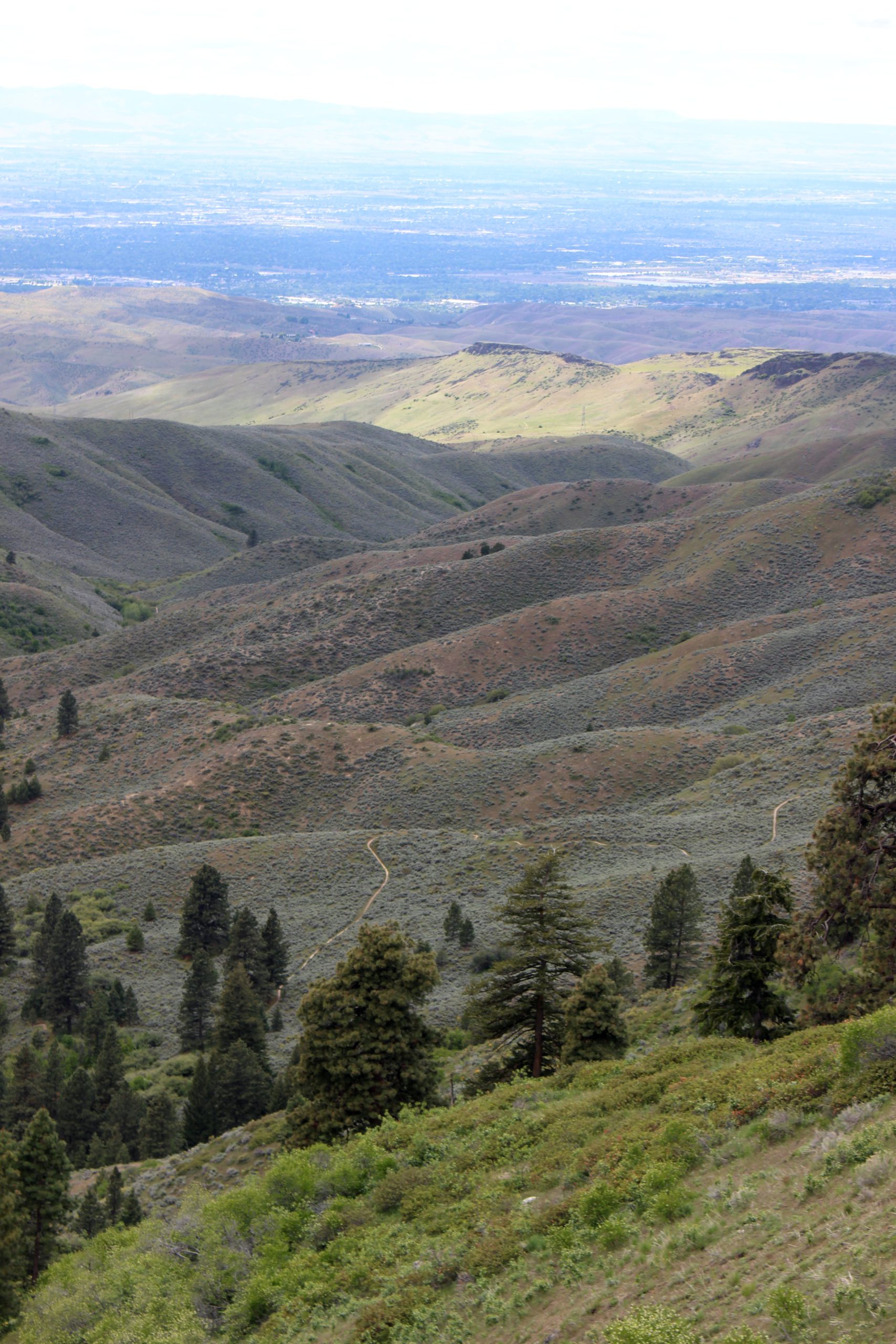 Read more about the article Friday Fan Club, Vol. 1