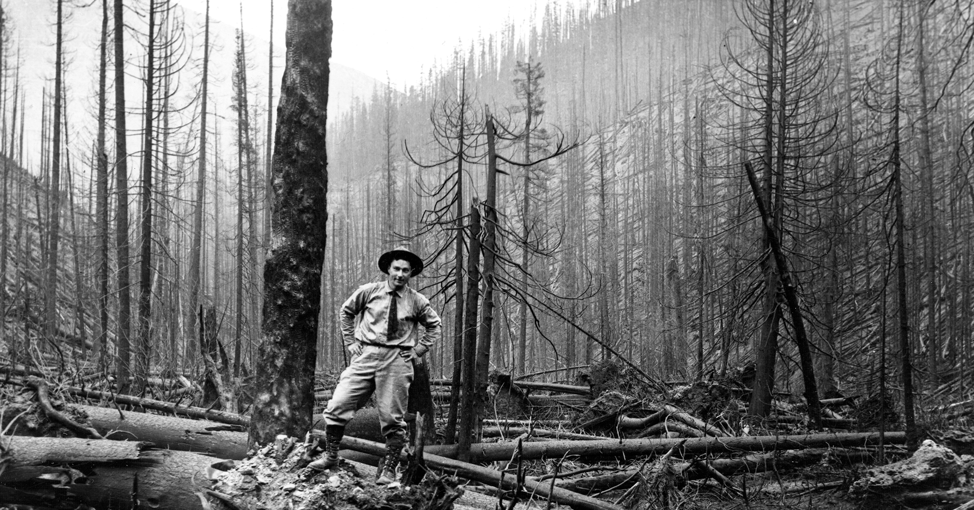 Read more about the article Friday Fan Club, Vol. 4