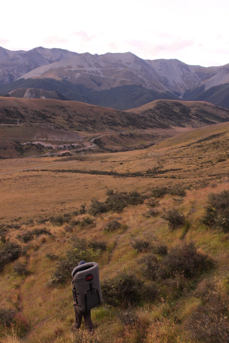 Read more about the article Flock Hill Bouldering