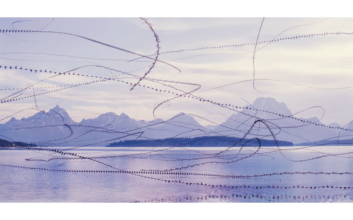 You are currently viewing Friday Fan Club, Vol. 6