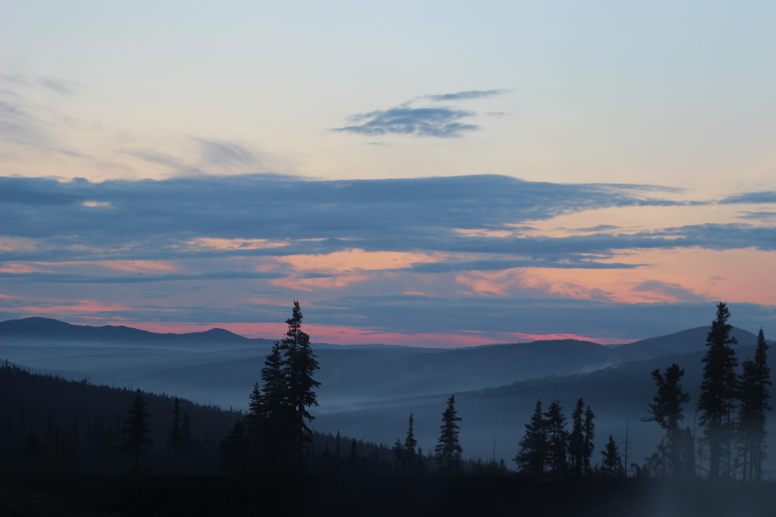 Read more about the article Friday Fan Club, Vol. 7