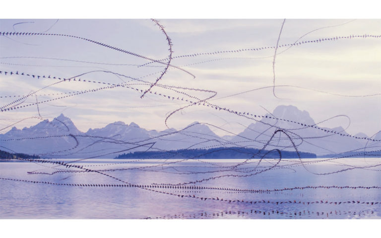 Read more about the article Friday Fan Club, Vol. 6