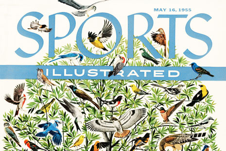 Read more about the article Friday Fan Club, Vol 11