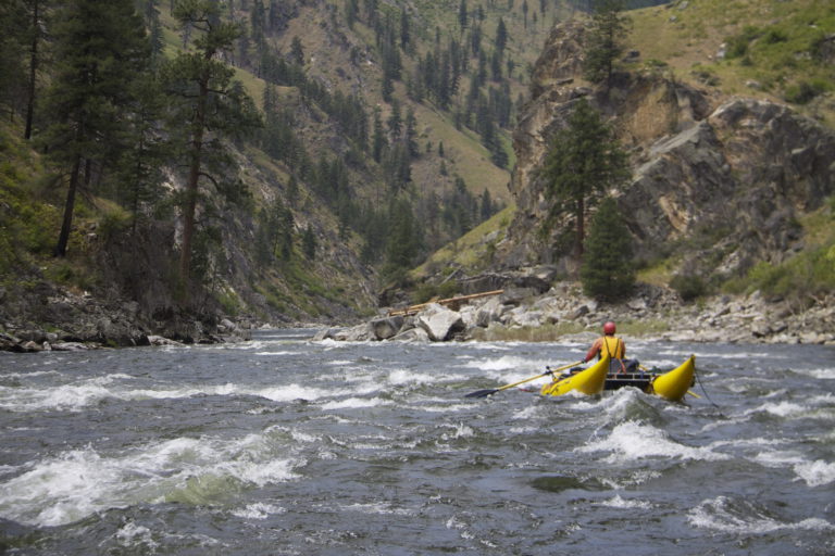 Read more about the article Do Idaho a favor and support the South Fork of the Salmon River