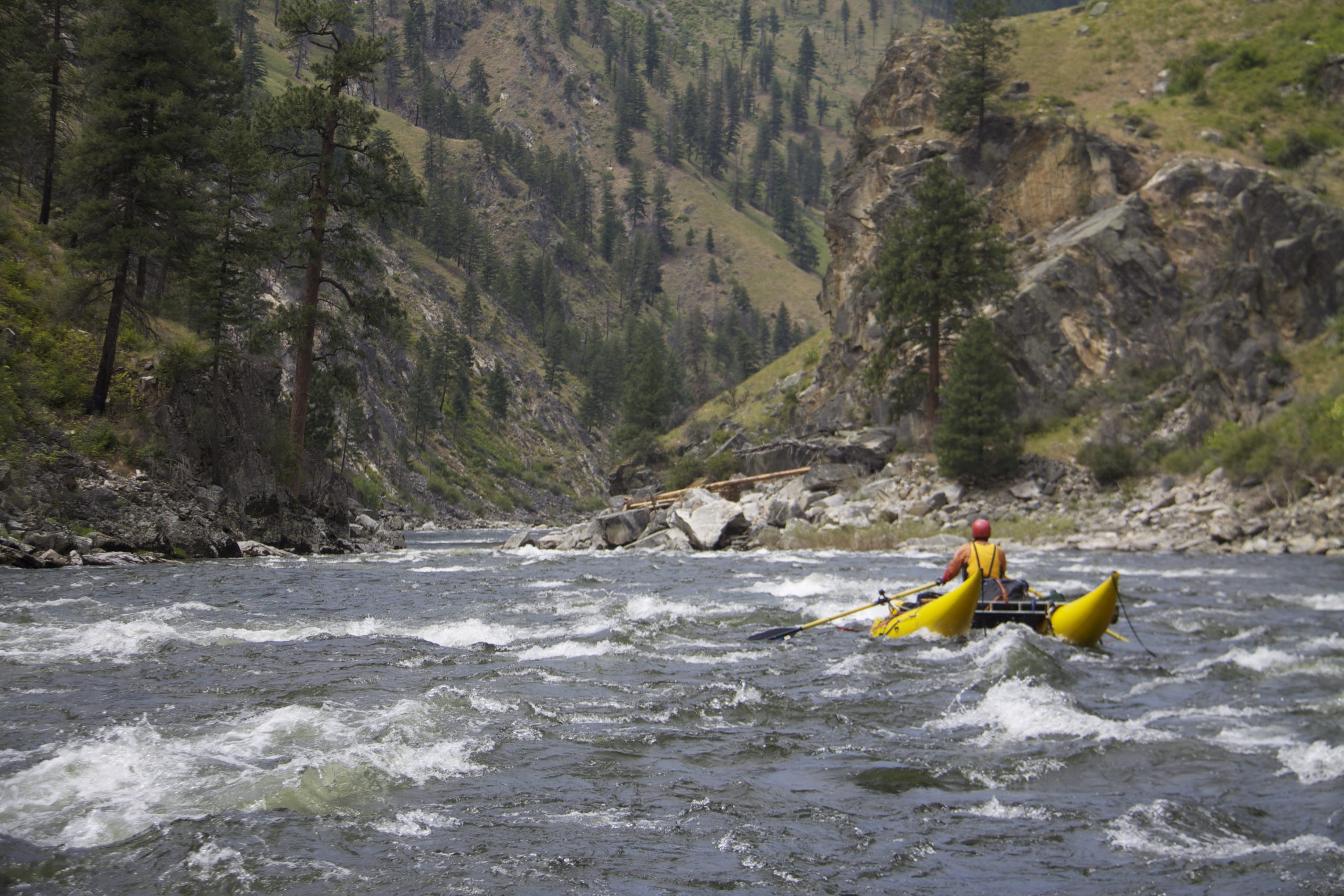 Read more about the article Do Idaho a favor and support the South Fork of the Salmon River